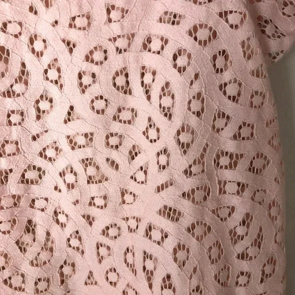 LOFT | Blush Pink Eyelet Short Sleeve Top - Picture 3 of 5